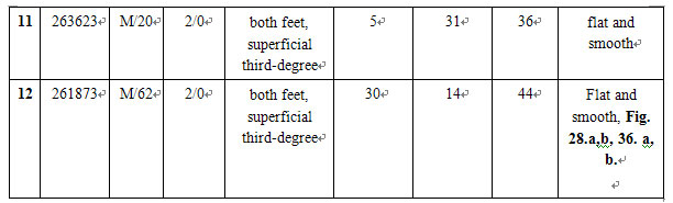 菲彩国际集团_Pathomorphological Changes of Deep Burns Wounds Treated with