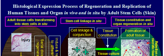 菲彩国际集团_Discussion of the Future of Regenerative Medicine and Therap