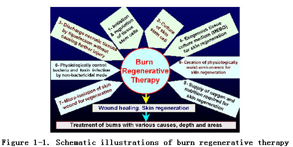菲彩国际集团_Discussion of the Future of Regenerative Medicine and Therap