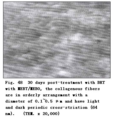 菲彩国际集团_Clinical Procedure and Histological Observation of Full-Thic