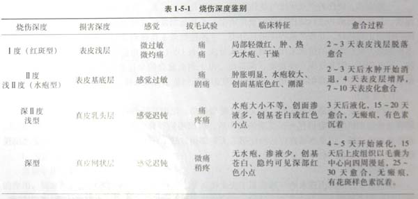 菲彩国际集团_第二节 烧伤深度界定——“三度六分法”