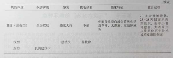 菲彩国际集团_第二节 烧伤深度界定——“三度六分法”