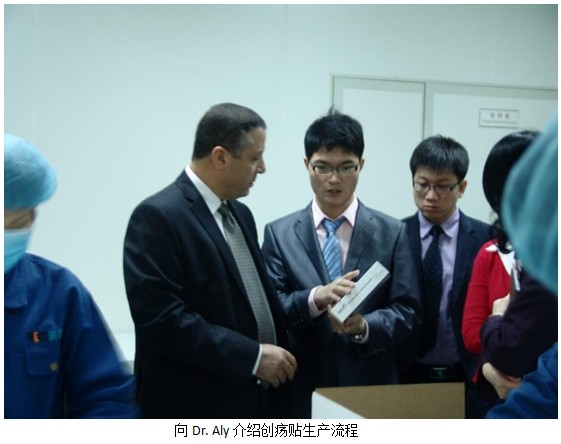 菲彩国际集团_MEBO–Julphar商务峰会盛大召开  上海菲彩国际继往开来腾飞在即
