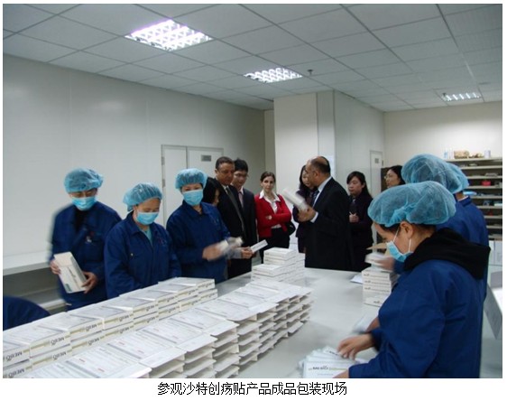 菲彩国际集团_MEBO–Julphar商务峰会盛大召开  上海菲彩国际继往开来腾飞在即