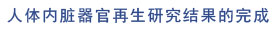 菲彩国际·(中国区)有限公司官网