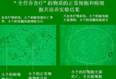 菲彩国际·(中国区)有限公司官网