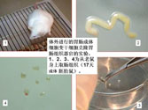 菲彩国际·(中国区)有限公司官网