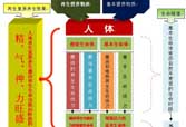 菲彩国际·(中国区)有限公司官网