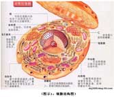 菲彩国际·(中国区)有限公司官网