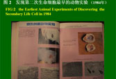 菲彩国际·(中国区)有限公司官网